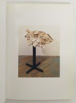 peculiar-autonomy-works-by-charles-long