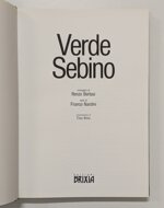 verde-sebino