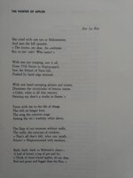 aron-krich-mayday-poemes-from-venice