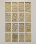 calciatori-197677-panini-16-figurine