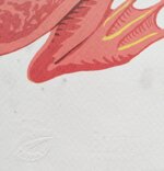 vanni-cuoghi-hai-sbagliato-fiaba