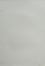 lia-laterza-una-rosa