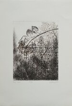 lia-laterza-una-rosa