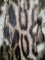 pelliccia-di-ocelotgattopardo