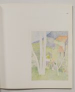 claudio-bondioli-bettinelli-il-giardino