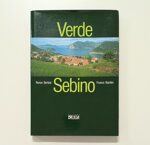 verde-sebino