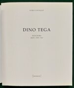 dino-tega-scultura-spazio-colore-luce