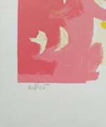 renzo-nucara-senza-titolo