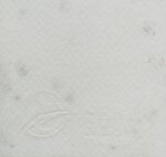 vanni-cuoghi-tutta-unaltra-storia