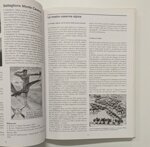 alpini-dal-benaco-al-monte-suello-19262006