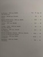 gregorio-sciltian-leterna-illusione