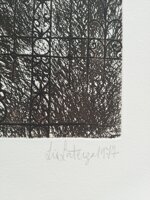 lia-laterza-una-rosa