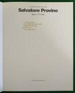 salvatore-provino-fuochi-ed-altre-folgori