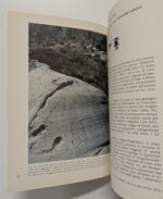 larte-rupestre-di-sellero