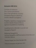 associazione-artisti-bresciani-annuario-2014