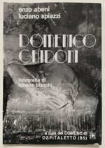 domenico-ghidoni-abenispiazzibianchi