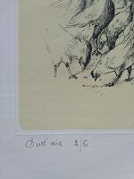 rino-pianetti-sullaia