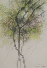 enzo-rossi-particolare-di-pesco