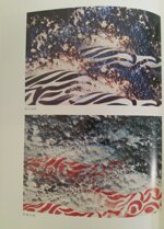 lopera-fotografica-di-pietro-melecchi