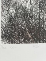 lia-laterza-una-rosa