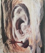 massimo-livadiotti-critto2grammi-locandina