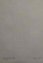 wanda-garonzi-unidea-per-il-futuro-fitoparking