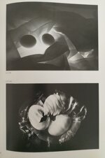 lopera-fotografica-di-pietro-melecchi