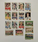 euro-football-79-panini-16-figurine
