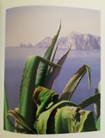 prestileo-catalogo-mostra