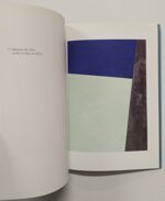 dino-tega-il-colore-il-tempo