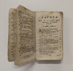 tommaso-tomai-idea-del-giardino-del-mondo