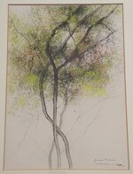 enzo-rossi-particolare-di-pesco