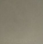 lia-laterza-una-rosa