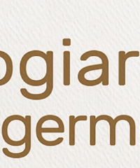 logoscimmiaoriz.jpeg logoscimmiaoriz.jpeg