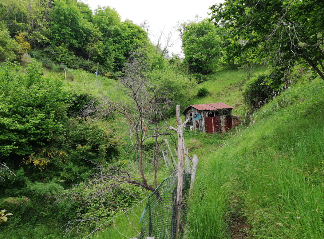 a6bf35f2-82de-474d-86f9-d2524978733e