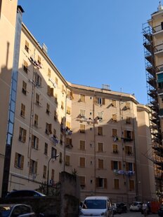 0ad16544-51e5-4c39-a7e1-378e04ed9513