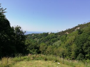 3fa120c3-18a5-4f6c-a29b-c4b07b1242f0