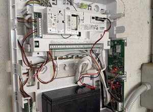 img_5277.jpeg img_5277.jpeg