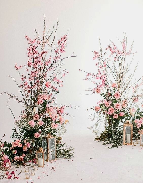 9f02d238-e2fd-4ece-ab36-f0576992b0dc