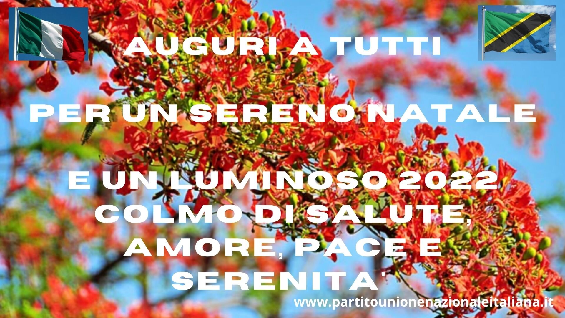 Buon Natale e Felice 2022