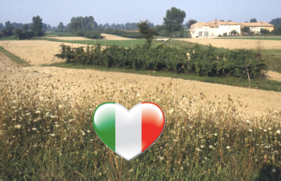 Made in Italy