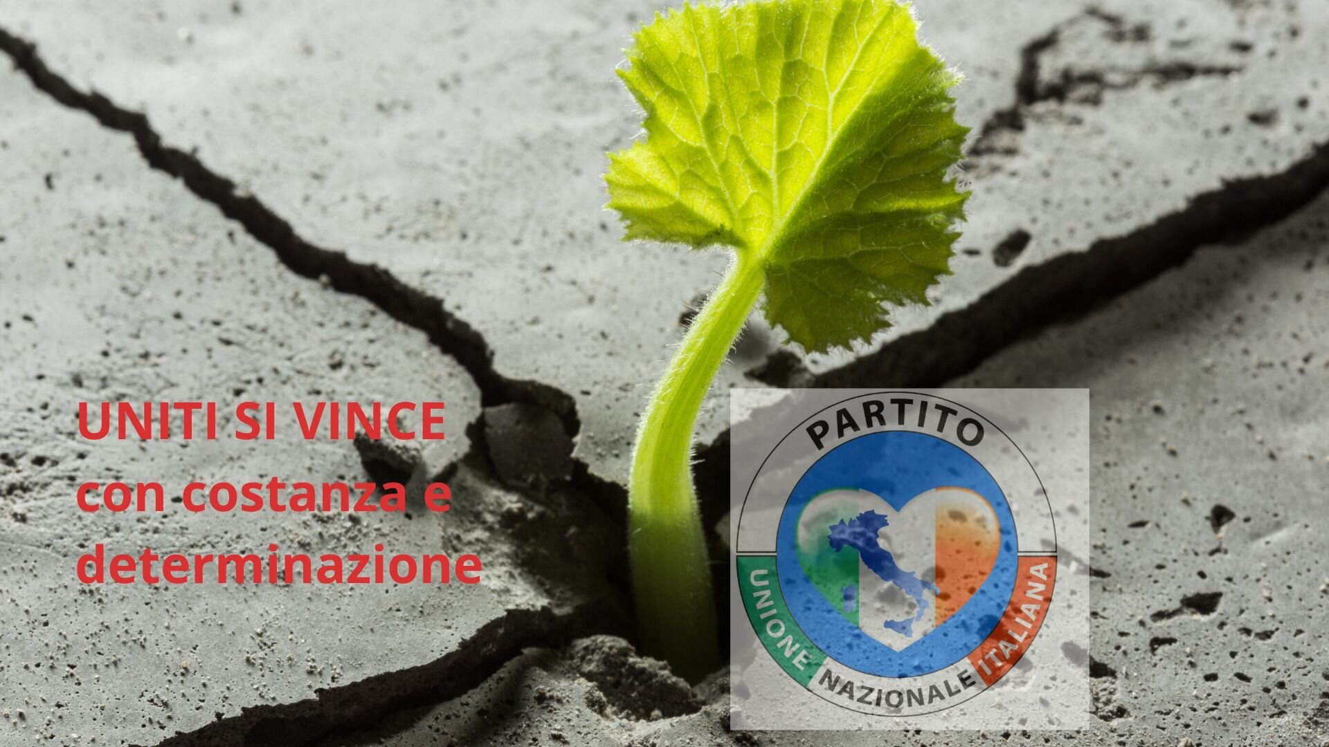 Gli italiani vogliono un futuro migliore