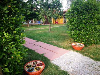 d51d184d-60d1-4b4e-8e8e-21c45fdaf854 d51d184d-60d1-4b4e-8e8e-21c45fdaf854