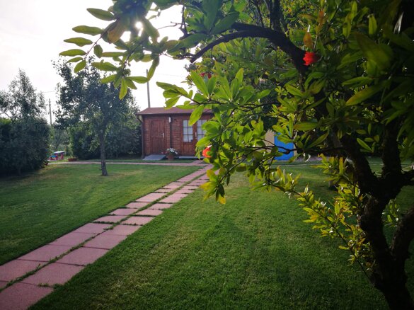 886ce6ef-8494-499b-bf8e-cf6002b616ec 886ce6ef-8494-499b-bf8e-cf6002b616ec