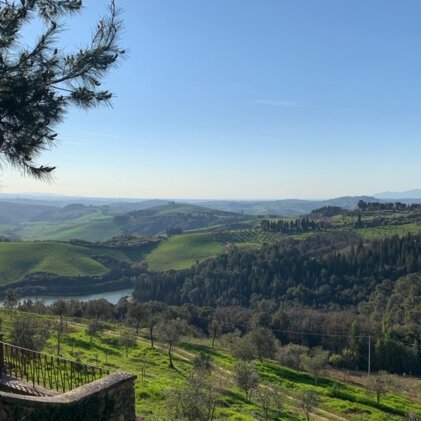 5663b727-2df4-45a5-85c9-c48dc104d745 5663b727-2df4-45a5-85c9-c48dc104d745