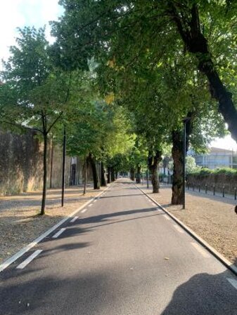 architetto bologna.jpeg architetto bologna.jpeg