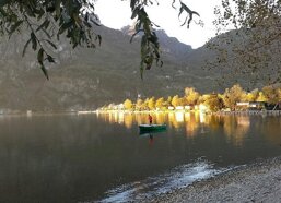 c55df9f0-dfb0-4e26-938d-33e547ae6f65