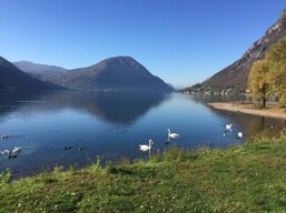 73a477f2-9643-4220-8b6d-61362502709f