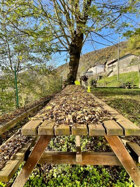 Come d'autunno le foglie Z. Marchetti