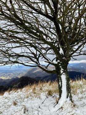 Una coltre per l'inverno D. Scuor